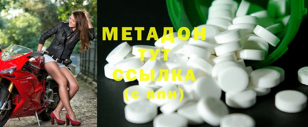 индика Няндома