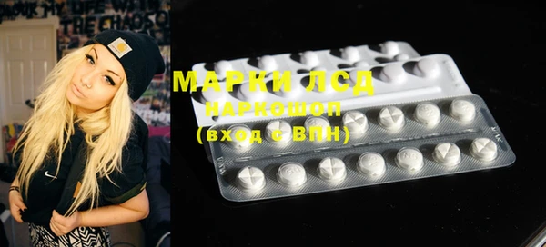 индика Няндома