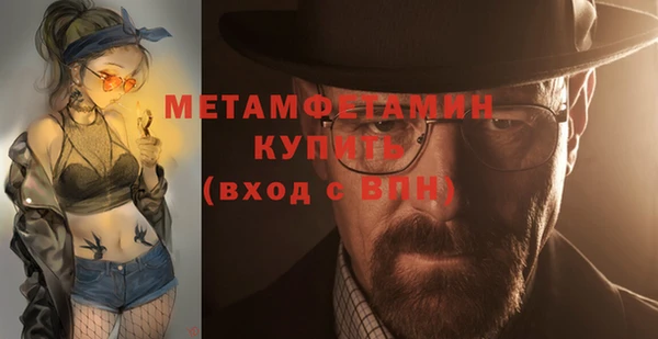 индика Няндома