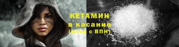 индика Няндома