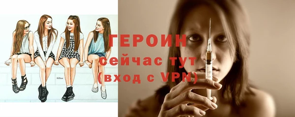 индика Няндома