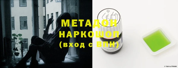 индика Няндома