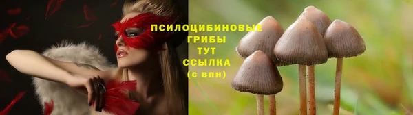 меф Нягань