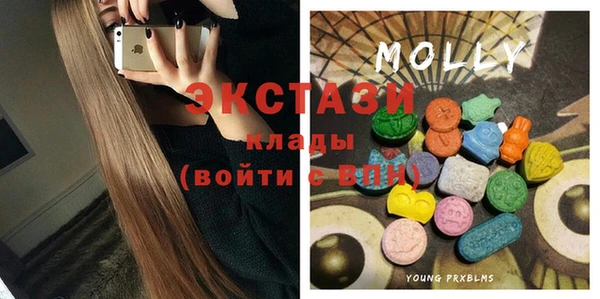 индика Няндома