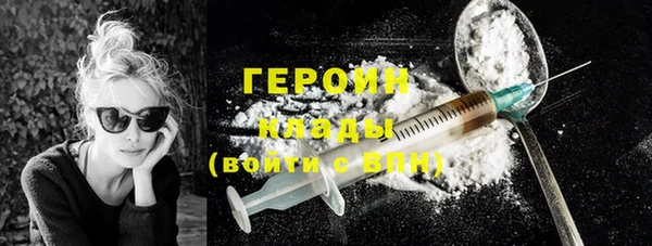 индика Няндома