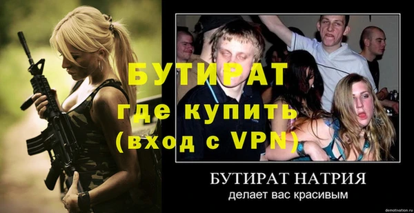 индика Няндома