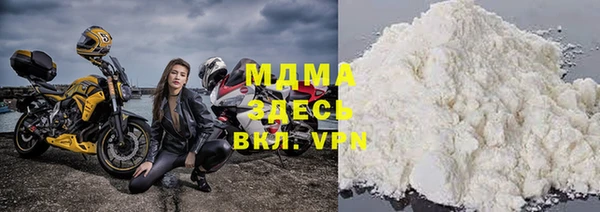 индика Няндома