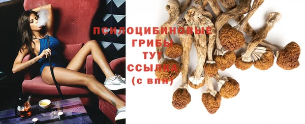 меф Нягань