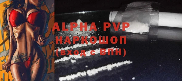 индика Няндома