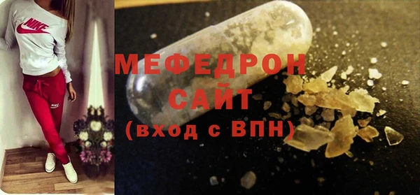 индика Няндома